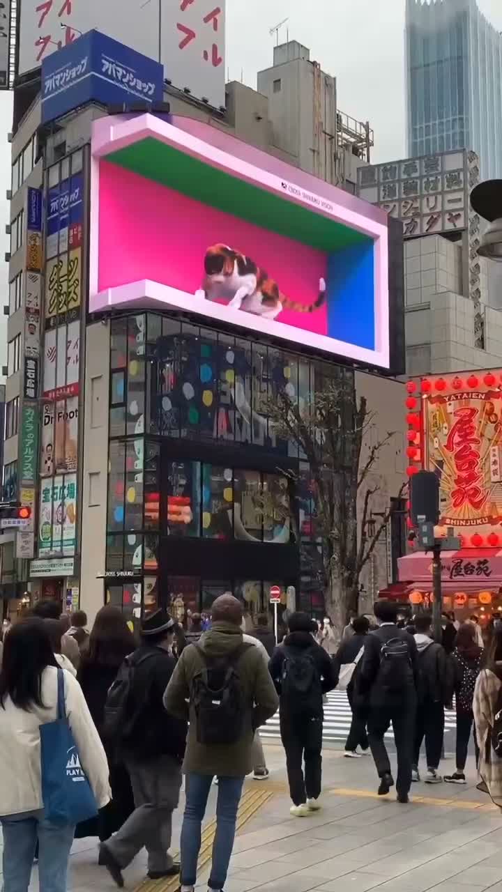 A 3D billboard on a corner screen in Tokyo